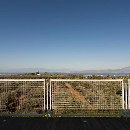 Country Villa Peloponnese With Tennis Court And Pool Zevgolateion Exterior photo